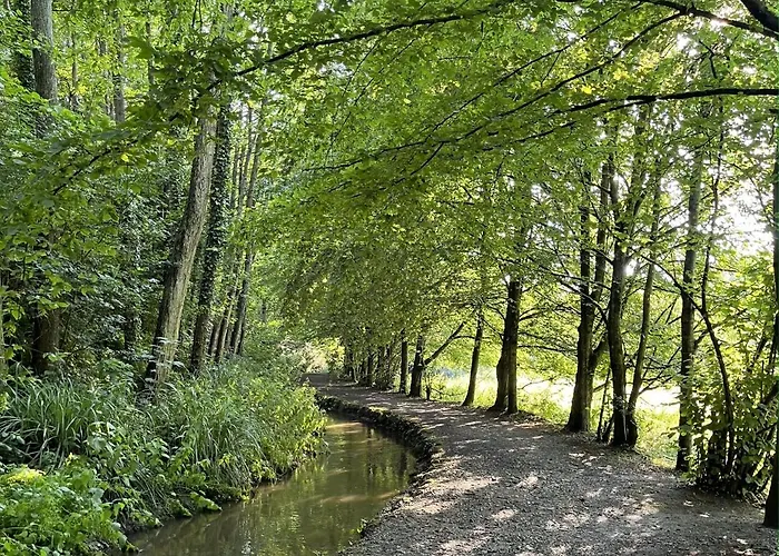 Maison Avec Jardin Centre